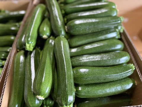 ズッキーニ　群馬県東吾妻町産　訳あり　1kg