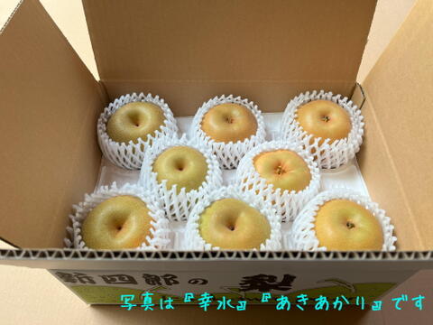 まだら模様は甘さの証🌏　千葉県産【秋麗】3㎏『8～9玉入』　市川のなし・フルーツキャップ個装