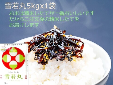 オススメ∽ おいしい雪若丸5kg 特別栽培米 無洗米 令和6年山形産