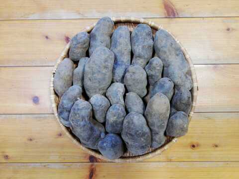 ジャガイモ(シャドークイーン)2.5～３㎏程度【農薬化学肥料不使用】【合わせ買い可】【熨斗(のし)対応可】