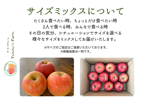 もぎたて 即日発送 りんご サンふじ 訳あり 家庭用 5kg 長野県産 信州りんご発祥の地 産地直送 除草剤不使用 人にやさしく環境にもやさしい