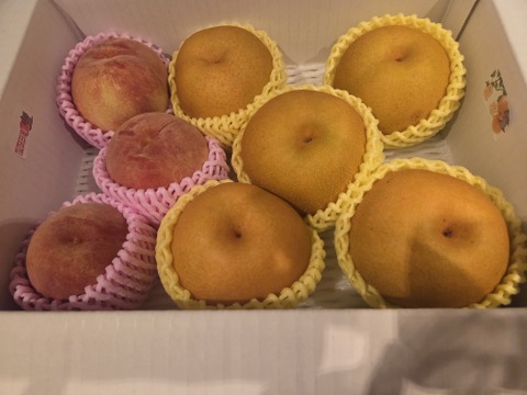 ※クール対応【福袋2025】お買い得!まるせい果樹園の桃と旬な果物詰め合わせ　３ｋ　om9