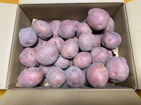 【訳あり】希少な自然栽培のジャガイモ【アンデスレッド】5kg（箱重量込）