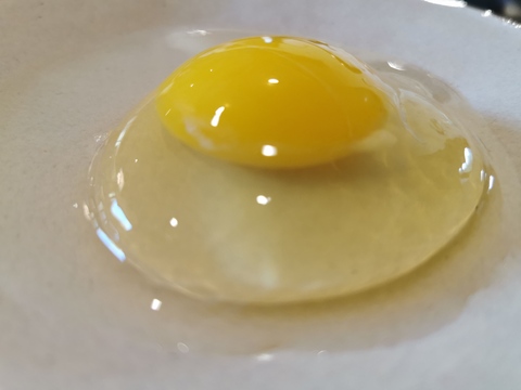 卵かけご飯セット（有機米コシヒカリ2㎏＋平飼い卵10個）