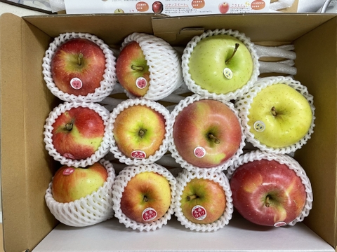 旬の青森りんご5種類食べ比べ🍎🍏訳ありご家庭用3kg 特別栽培りんご 低農薬  化学肥料不使用 希少品種が入るかも？詰合せ