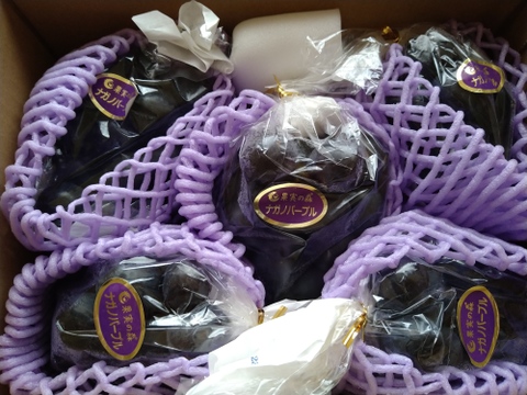 令和7年9月上旬から発送開始【特別栽培農産物】☆種無し☆皮ごと☆丸ごとナガノパープル（2㎏）