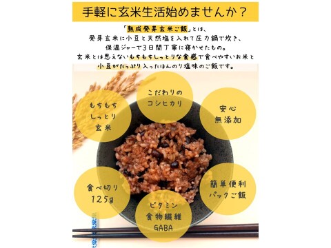熟成3日 発芽玄米ご飯パックご飯 30個(3パック×10セット)　こだわりコシヒカリで作る酵素玄米