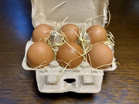 🉐青空放し飼い飼育【富士の極卵】純国産鶏あずさ24個