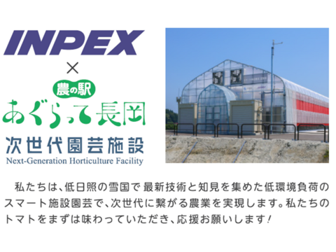 【際立つ甘味と酸味！糖度10度以上を厳選！フルーツトマト(これトマプレミアム)】１箱45粒(約800g)