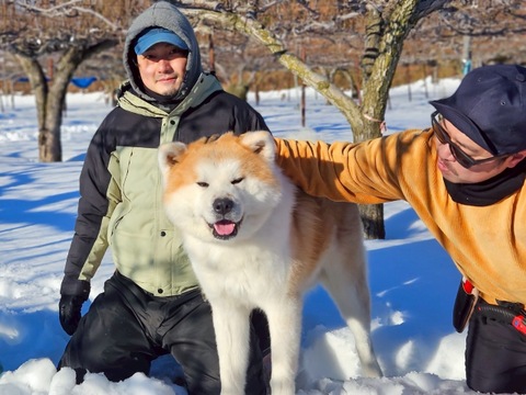 梨の甘さをそのまんま！なしのジュース720mℓ×2本セット