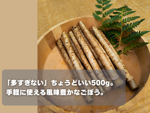 【使い切りサイズ】風味豊かな洗いごぼう500g｜サラダ・きんぴらに最適