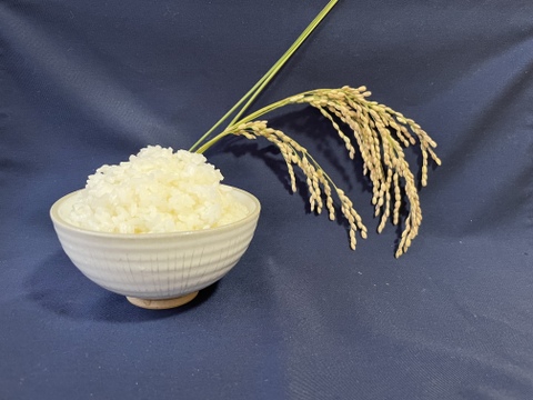 令和4年度産　特別栽培米🌾コシヒカリ玄米•精米セット（各2キロ）