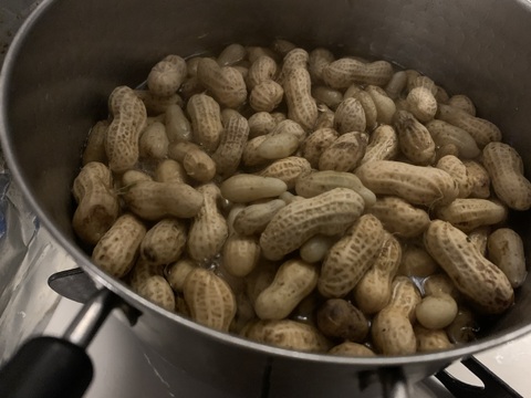 奥出雲産自然栽培生ラッカセイ(500g)