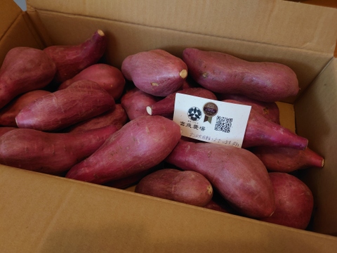 ほくほく食感と上品な甘さ！なると金時(訳あり)10kg