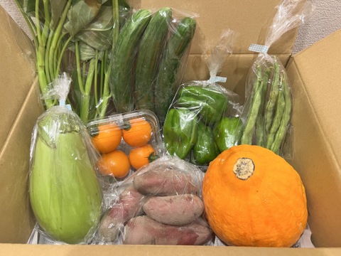 ＼シャキうま！／南房総の旬野菜セット！セレクトおまかせ【8品目】