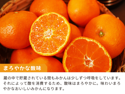 蔵出しみかん中生5kg｜和歌山県海南市下津町の特産品、蔵出しみかんの希少な中生品種