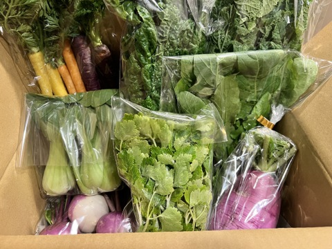 ＼シャキうま！／南房総の旬野菜セット！セレクトおまかせ【8品目】