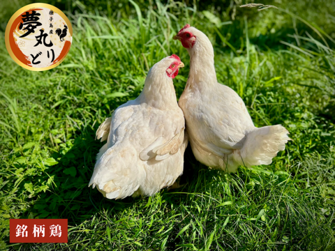 【投薬ゼロ】⭐️【夢丸鶏】⭐️骨付き半羽分　約800g