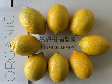 〔秀・優〕完熟イエロー果汁たっぷり！『ATAMI de LEMON®』5Kg- 爽やか芳醇- 品種お任せ