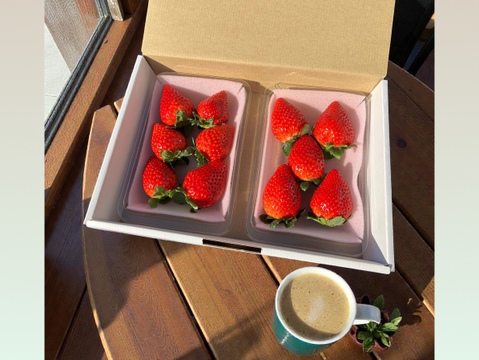 あまあま！とちあいか🍓大玉パック！