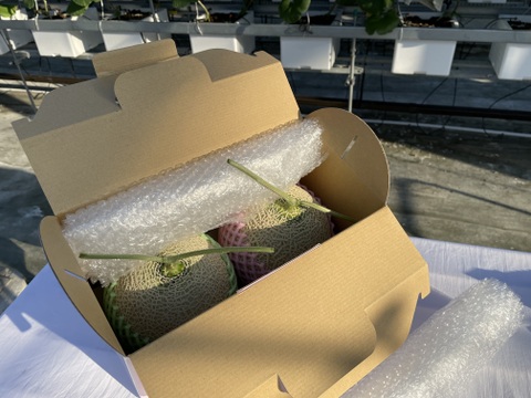 【一株一果のこだわりメロン】【秀品】【ご友人と】【親族の集まりで】アールスメロン（３Ｌ以上×２玉）　青肉・赤肉のセット　３㎏以上