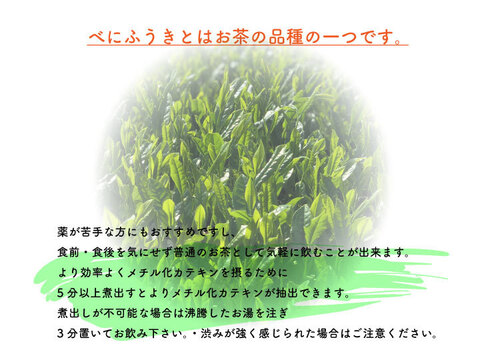 【春の季節に】粉末べにふうき／40g　メチル化カテキン配合