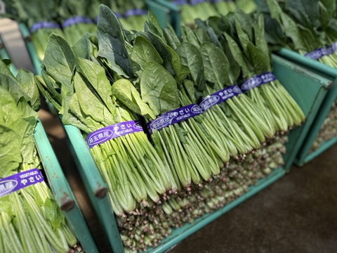 野菜のプロが認めるほうれん草！食べたもん勝ちのほうれん草❗️葉肉の厚さと豊かな甘みが特徴❗️
約1200g（約300g×4袋）