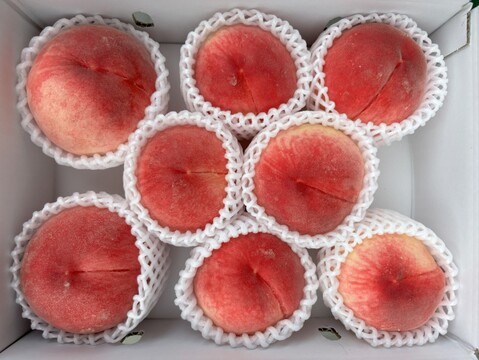 【家庭用】山梨県産　なつっこ　8~9玉