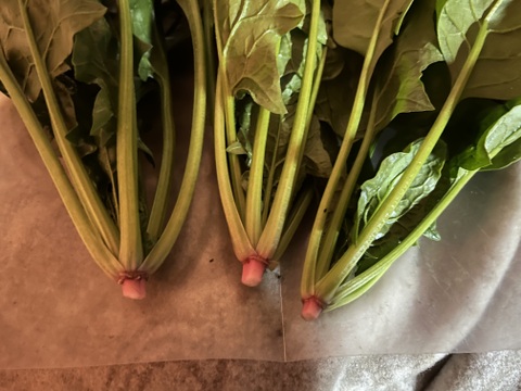 長野県産ほうれん草2kg