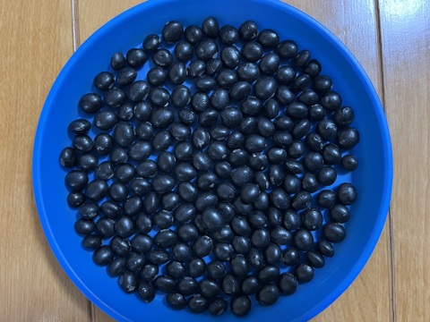 有機黒豆「合わせ買い（同梱）用」中生光黒（900g）手選別  オーガニック（有機) 北海道 十勝産　2025年産 手選別