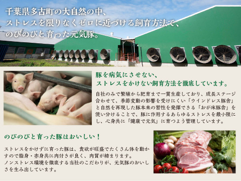 解凍後焼くだけ！　元気豚　肩ローストンテキ2種セット（130ｇ×合計8枚）