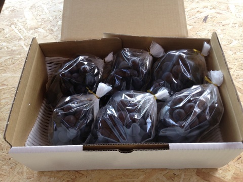 甘味も酸味も濃い味わい！巨峰『福島のブドウ』３kg（４〜８房）【贈答用】【敬老の日ギフト】