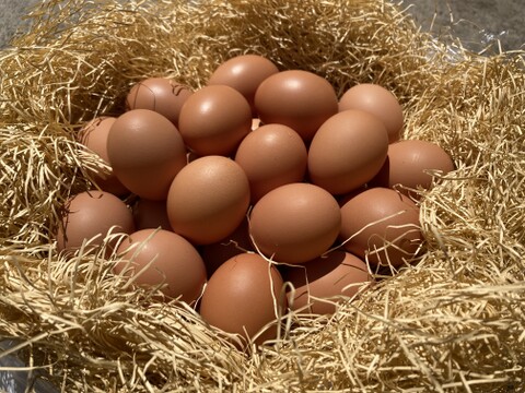 🌸新年度のお祝いに🌸栄養豊富な縁起物『Bon-TAMA』初生卵（30個入り） 【1か月限定】