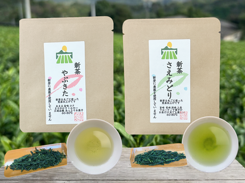 【2026年新茶】旬を飲み切り！ミニギフトにも！
！封筒箱入　やぶきた＆さえみどり　10ｇ×10パック