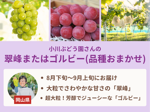 【限定200セット】ぶどう食べ比べ便第１弾※送料込※（食べチョク公式）