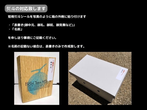 【贈答用】渥美半島産＊マスクメロン/２玉入