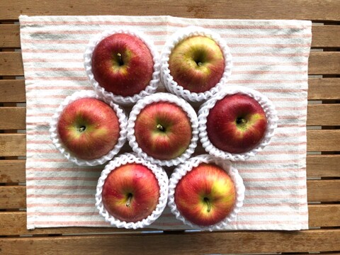 【りんご】シナノスイート 3kg（8~13 玉）贈答・家庭用ミックス商品