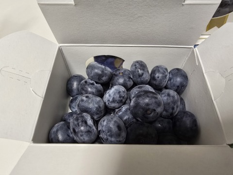 7月発送】特大完熟ブルーベリー 750g(150g小箱×5)：岩手県産の