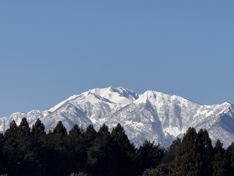 まるまる一個！ひとりじめ小玉スイカ 2個セット【ご家庭用】