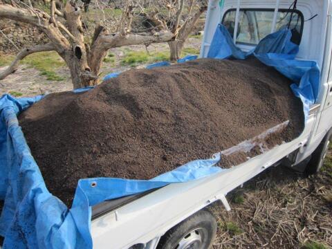 【ご予約】2段箱2L32玉入り 7.5K糖度に自信！たねなし柿  刀根早生柿誕生の地より直送！