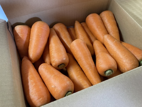 甘み旨みたっぷり！栄養価コンテスト受賞！掘りたて人参3kg