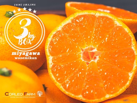 【EHIME UWAJIMA】とろける食感の絶品早生みかん！Aセレクション（家庭用）3kgBOX（2.7kg）