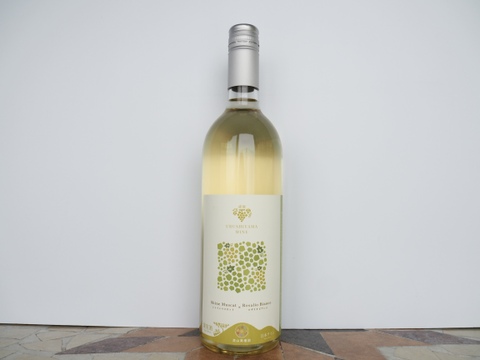 【贈り物や特別な日に】漆山果樹園ワイン750ml×3本セット