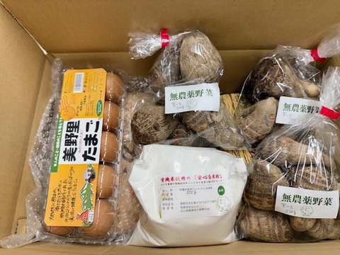 【福袋】令和6年産 農薬不使用米 コシヒカリ 白米 5kg+里芋1.5kg+白米粉500g+美野里たまご10個入り1P