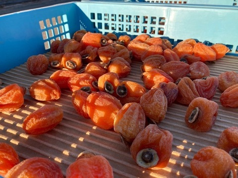ず〜っともっちり甘い！3Lサイズ市田柿(500g×2袋)干し柿