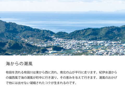 【12/4まで特別価格】有田みかん2.5kg (大粒サイズ 2L～3L) 家庭用(訳あり品)  和歌山 311-o2h