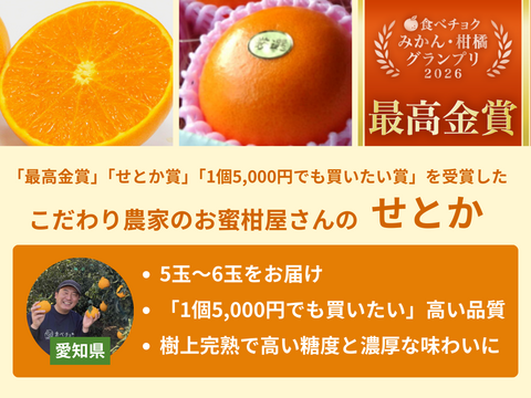 【ご好評につき完売】柑橘3種食べ比べセット（食べチョク公式）【みかん・柑橘グランプリ2026受賞】
