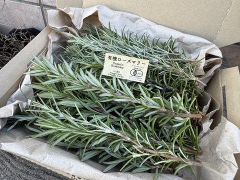 有機ローズマリー・たっぷり２種セット（クロネココンパクト便発送）Xmas限定
