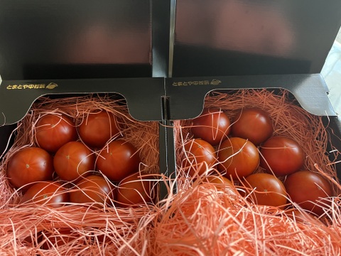 【全国トマト選手権入賞】ぜいたくトマト《冬の陣》