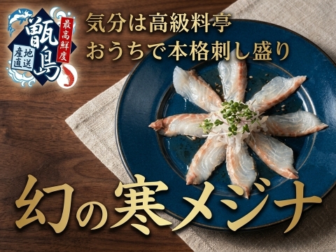 【まるで高級料亭】幻のメジナ業界初パウダースノー冷凍で最高鮮度の本格刺し盛りがご自宅で心行くまでご堪能🐟甑島ブランド【7月上旬予約】